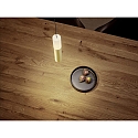 Helestra Luminaire � suspension LIDOS � 1 flamme, direct / indirect IP20, noir mat, feuille d'or gradable