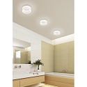 Helestra ceiling luminaire LIV 2-fold, ring shape IP30, black matt dimmable