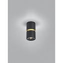 Luminaire de plafond ROK � 1 flamme, direct / indirect, focalisable IP20, or mat, noir mat gradable