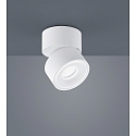 Luminaire de plafond NAKA 15W à 1 flamme, réglable IP20, blanc mat gradable