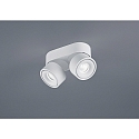 Luminaire de plafond NAKA 30W à 2 flammes, réglable IP20, blanc mat gradable