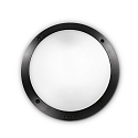 Outdoor luminaire LUCIA-1 AP1 Wall luminaire, 1 flame, E27, black