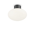 Plafonnier ext�rieur CLIO sans abat-jour E27 IP44, anthrazit