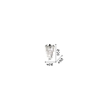Ideal Lux Luminaire de plafond CARLTON 8 flammes E14 IP20, chrome