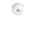 Luminaire de plafond ARIZONA � 2 flammes GX53 IP20, blanche, laiton satin�