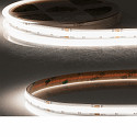 Bande LED COB927/965 blanche