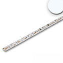 Module LED BACKLIGHT 865 DIM - 117.5CM pour VDU, 2 p�les, avec optique de lentille 16W 1175lm 6500K 180� CRI 80-89 gradable