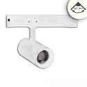 Projecteur triphas� 12W - 20�-55� (DALI) rigide, contr�lable par DALI, focalisable IP20, gradable