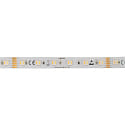 LED Strip 5050 RGB+WW/CW SMD - 5M / 12MM RGBW white