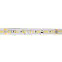 Bande LED SMD 2835 SCCT MP - 2M / 12MM CCT Switch, multipower blanche