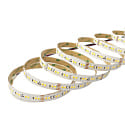 LED Strip SMD 2835 SCCT MP - 5M / 12MM CCT Switch, multipower white