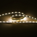 Bande LED LED SMD 3528 dimmable IP20, gradable