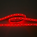 Bande LED LED SMD 3528 IP67, gradable