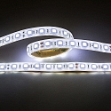 Bande LED LED SMD 5050 IP67, gradable
