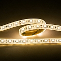 Bande LED LED SMD 5050 IP67, gradable