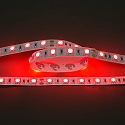 Bande LED LED SMD 5050 IP20, gradable