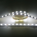 Bande LED LED SMD 5050 IP20, gradable