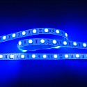 Bande LED LED SMD 5050 IP20, gradable