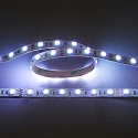 nobil� Bande LED LED SMD 5050 IP20, gradable
