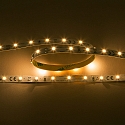 Bande LED LED SMD 3528 IP20, gradable