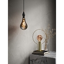 Nordlux Ampoule à filament forme standard SPIRAL DECO E27 8,5W 200lm 1800K CRI 80 gradable, couleurs fumée gradable