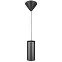 pendant luminaire ALANIS GU10 IP20