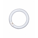 Lampe fluorescente L G10q 40W 3070lm 6500K CRI 80-89