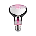 Lampe � r�flecteur R80 GROW GREEN LED R80 E27 6,5W 200lm 1300K 60� CRI >30 