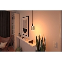 Paulmann LED filament lamp METALLIC GLOW CYLINDER HELIX switchable E27 3,5W 110lm 1800K CRI >80 