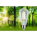 Paulmann lamp Edison pear shape ECO-LINE ST64 FILAMENT switchable ST64 clear E27 4W 840lm 4000K 360� CRI >80  clear