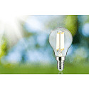 Paulmann Ampoule � filament forme de gouttes ECO-LINE DROP commutable P45 clair E14 2,5W 525lm 3000K 360� CRI >80  d�gager
