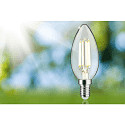 Paulmann Ampoule � filament forme bougie ECO-LINE CANDLE commutable P45 clair E14 4W 840lm 4000K 360� CRI >80  d�gager