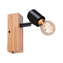 Paulmann Spot ARVID à 1 flamme E27, noir  gradable