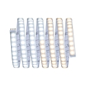 Bande LED MAXLED 1000 argent
