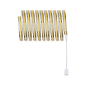 Paulmann Bande LED MAXLED FULL LINE COB argent