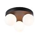 wall and ceiling luminaire GOVE G9 IP44, mat, black 