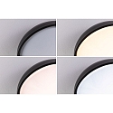 Paulmann Luminaire de salle de bain OKA CCT Switch, commutable IP44, mat, noir 