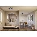 Paulmann Luminaire de salle de bain OKA CCT Switch, commutable IP44, mat, noir 