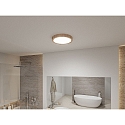 Paulmann bath luminaire TEGA CCT Switch, switchable IP44, wood, mat 