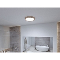 Paulmann bath luminaire TEGA CCT Switch, switchable IP44, wood, mat 