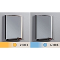 Paulmann Miroir avec �clairage MIRO 45 X 60CM angulaire, Tunable White, avec tablette IP44, noir mat 