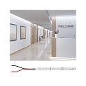 Paulmann Bande LED PRO STRIP GOLD P75