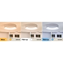 Paulmann Luminaire de plafond HOMESPA CASCA LED grand, CCT Switch IP44, blanche gradable