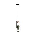 Paulmann Luminaire � suspension NEORDIC URBAN JUNGLE FANJA GU10 IP20, cuivre, noir  gradable