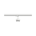 Paulmann Projecteur triphas� PRORAIL3 LED IP20, noir , blanche gradable