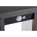 Paulmann Lampe murale solaire MARISOL angulaire, avec capteur IP44, noir  