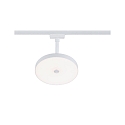 Paulmann 1-phase spot HILDOR URail IP20, mat, white dimmable