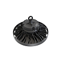 RADIUM Projecteurs de hall STAR 100 DALI GEN5 contr�lable par DALI, CCT Switch, multipower, focalisable IP65, noir gradable
