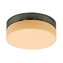 Steinhauer Steinhauer Wall and ceiling luminaire CEILING AND WALL Bathroom luminaire, 1 flame, glass 24 cm, silver