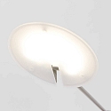 floor lamp DAPHNE 1 flame IP20, steel dimmable